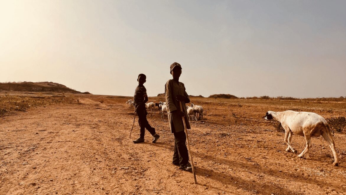 Biến đổi khí hậu và thời tiết cực đoan