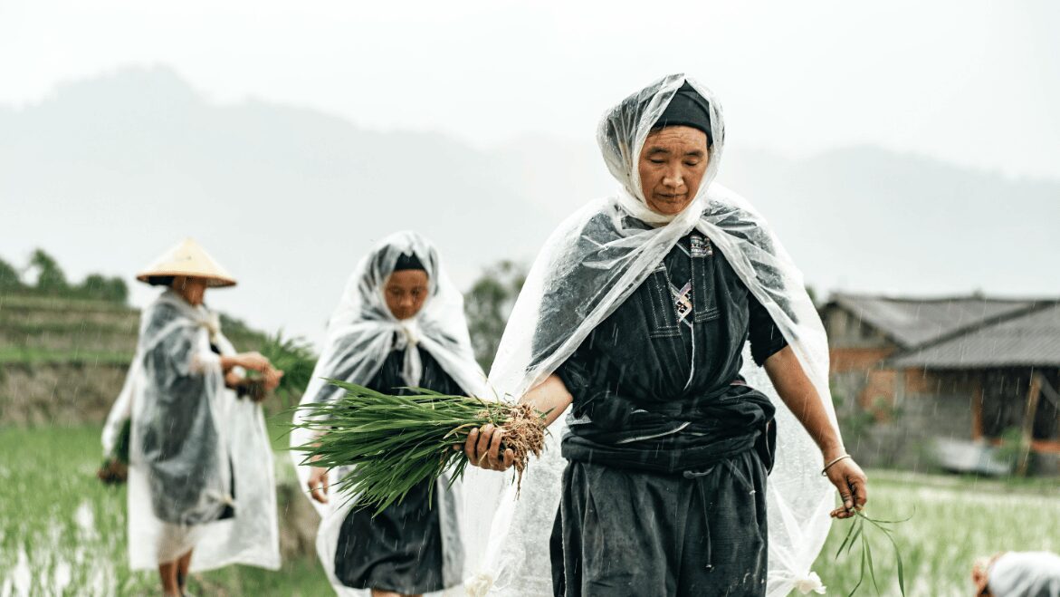 Chuyển đổi số nông nghiệp Việt Nam - Yếu tố về chính sách