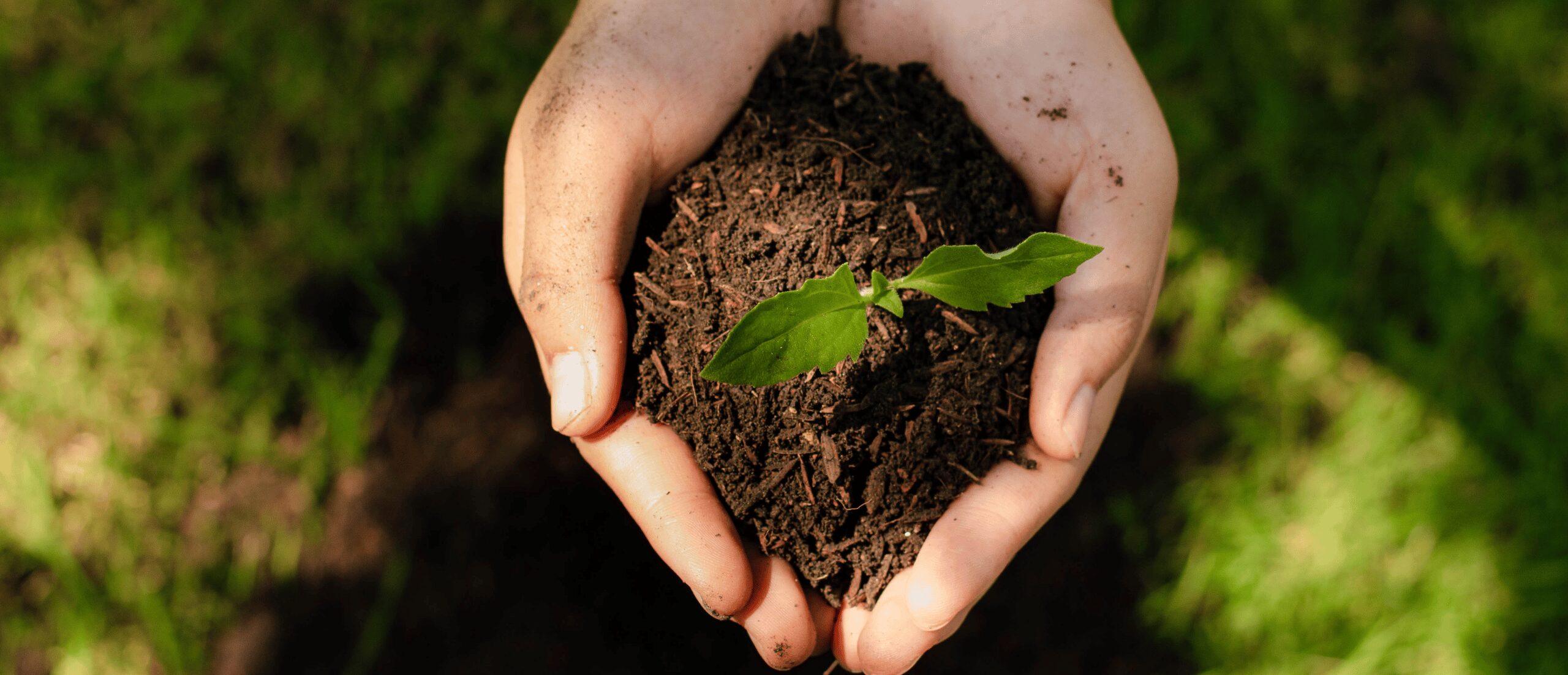 ESG là gì: những thách thức và cơ hội cải tiến tại Việt Nam