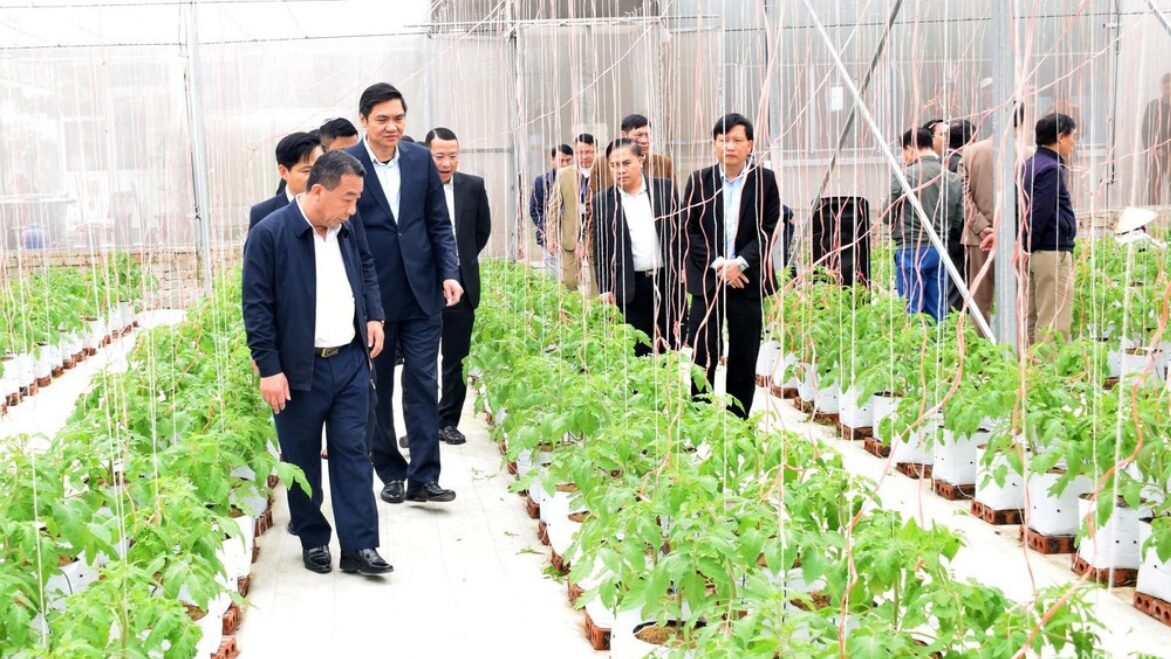 Các chủ thể trong chuỗi liên kết nông nghiệp