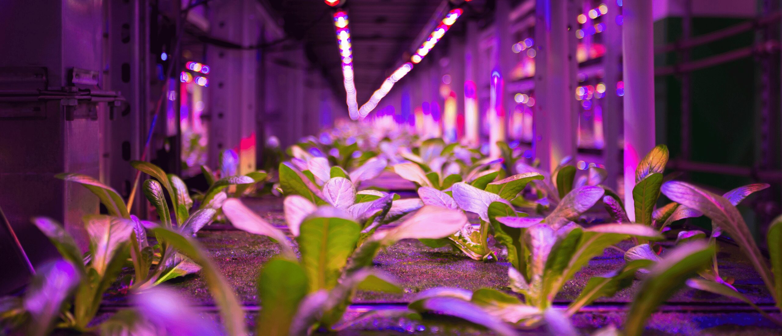 Mặt trái của chuyển đổi số khi công nghệ thiếu quản trị