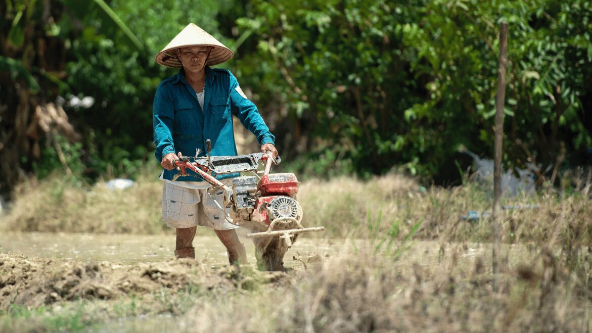 Truy xuất nguồn gốc trong nông nghiệp: thách thức và biện pháp khắc phục