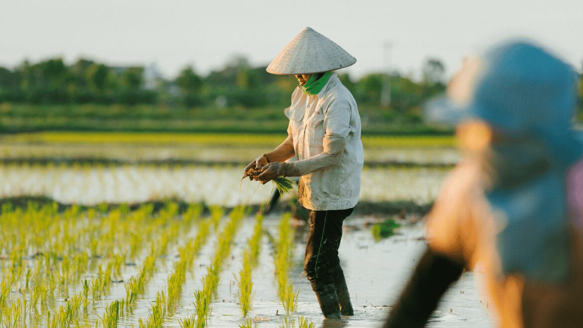 Chuyển đổi số nông nghiệp Việt Nam - Yếu tố nguồn nhân lực 