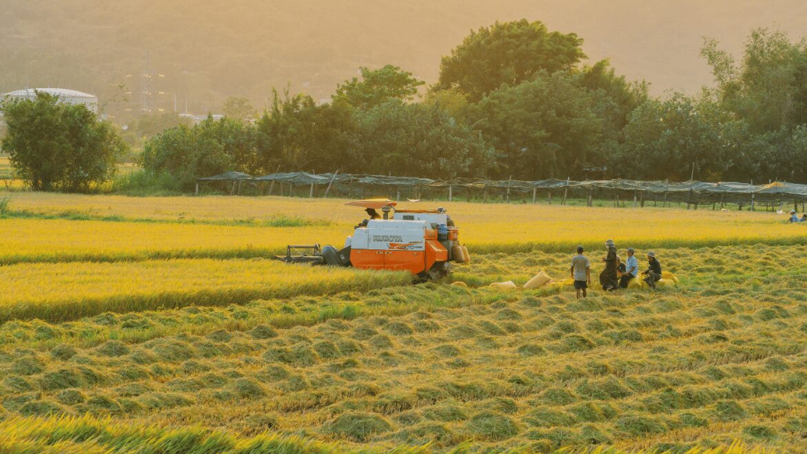 Những ảnh hưởng từ bên trong tác động đến an ninh lương thực tại Việt Nam