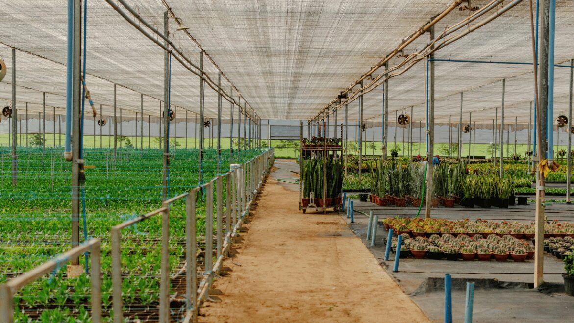 Truy xuất nguồn gốc trong nông nghiệp: thách thức và biện pháp khắc phục